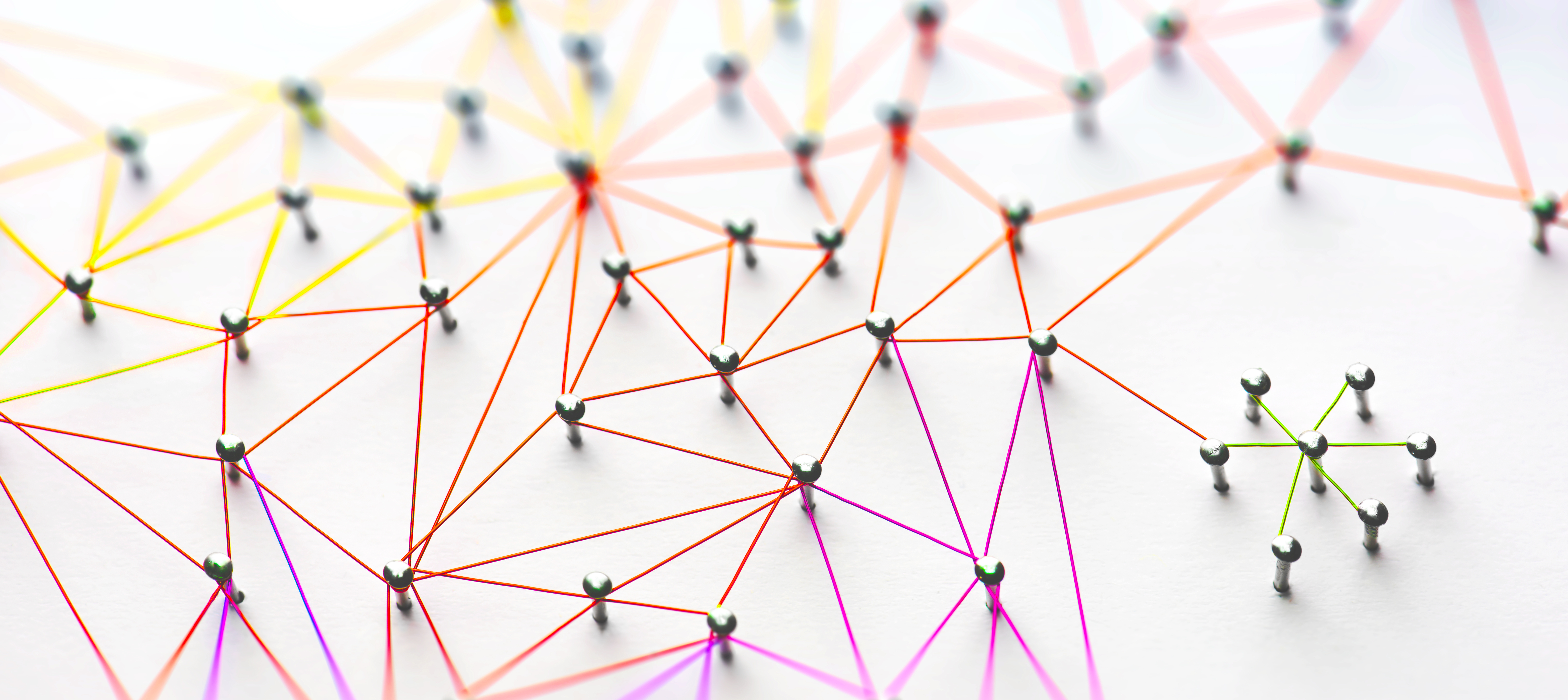 Zarządzanie infrastrukturą sieciową dzięki Paszportyzacji